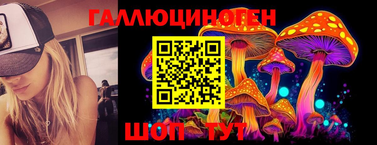 наркота  Галлюциногенные грибы Cubensis  Вход с VPN  Ступино 