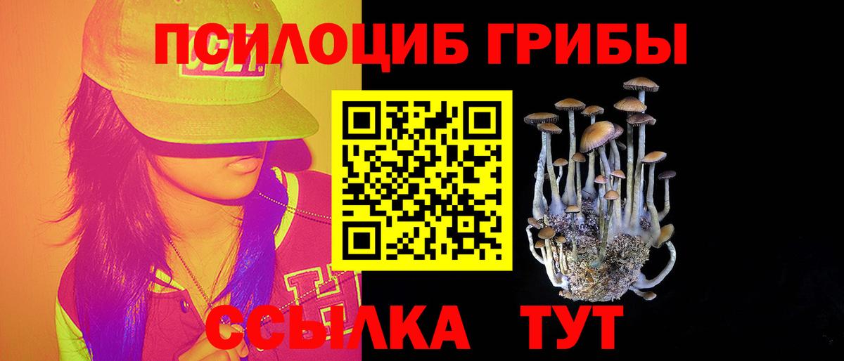 Псилоцибиновые грибы Magic Shrooms Ступино